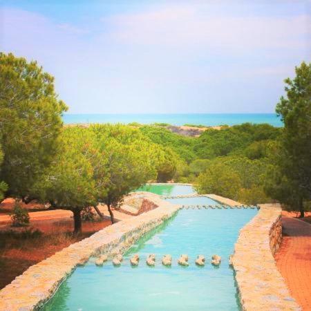 Apartment With Pool, Sea Views & Balcony Less Than 10Min Walk To La Mata Beach! Torrevieja Buitenkant foto