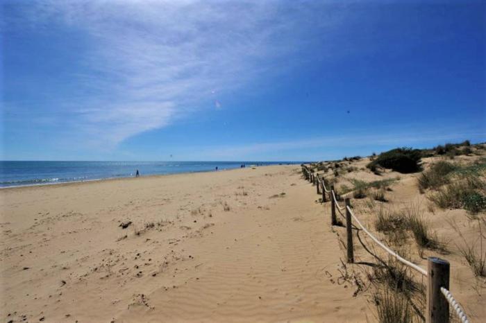 Apartment With Pool, Sea Views & Balcony Less Than 10Min Walk To La Mata Beach! Torrevieja Buitenkant foto