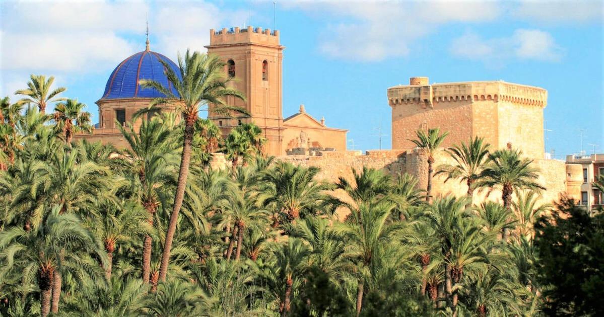 Apartment With Pool, Sea Views & Balcony Less Than 10Min Walk To La Mata Beach! Torrevieja Buitenkant foto
